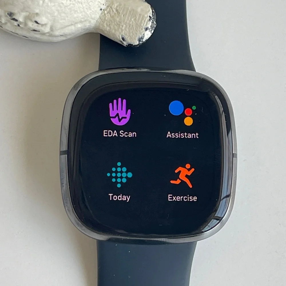Fitbit Versa 3 Watch